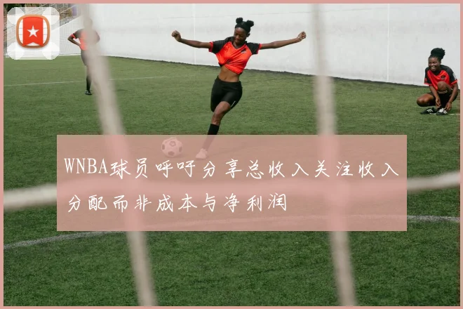 WNBA球员呼吁分享总收入关注收入分配而非成本与净利润