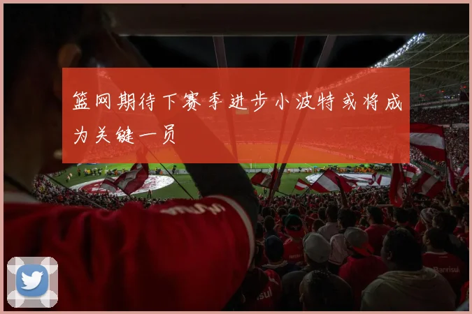 篮网期待下赛季进步小波特或将成为关键一员
